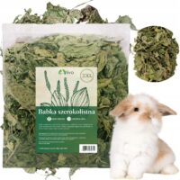 Babka szerokolistna XXL 400g TIVO przysmaki zioła dla królika świnki 0,4kg