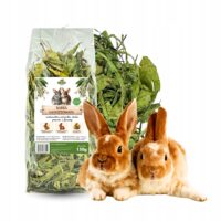 SAMFARM Babka lancetowatej 150g