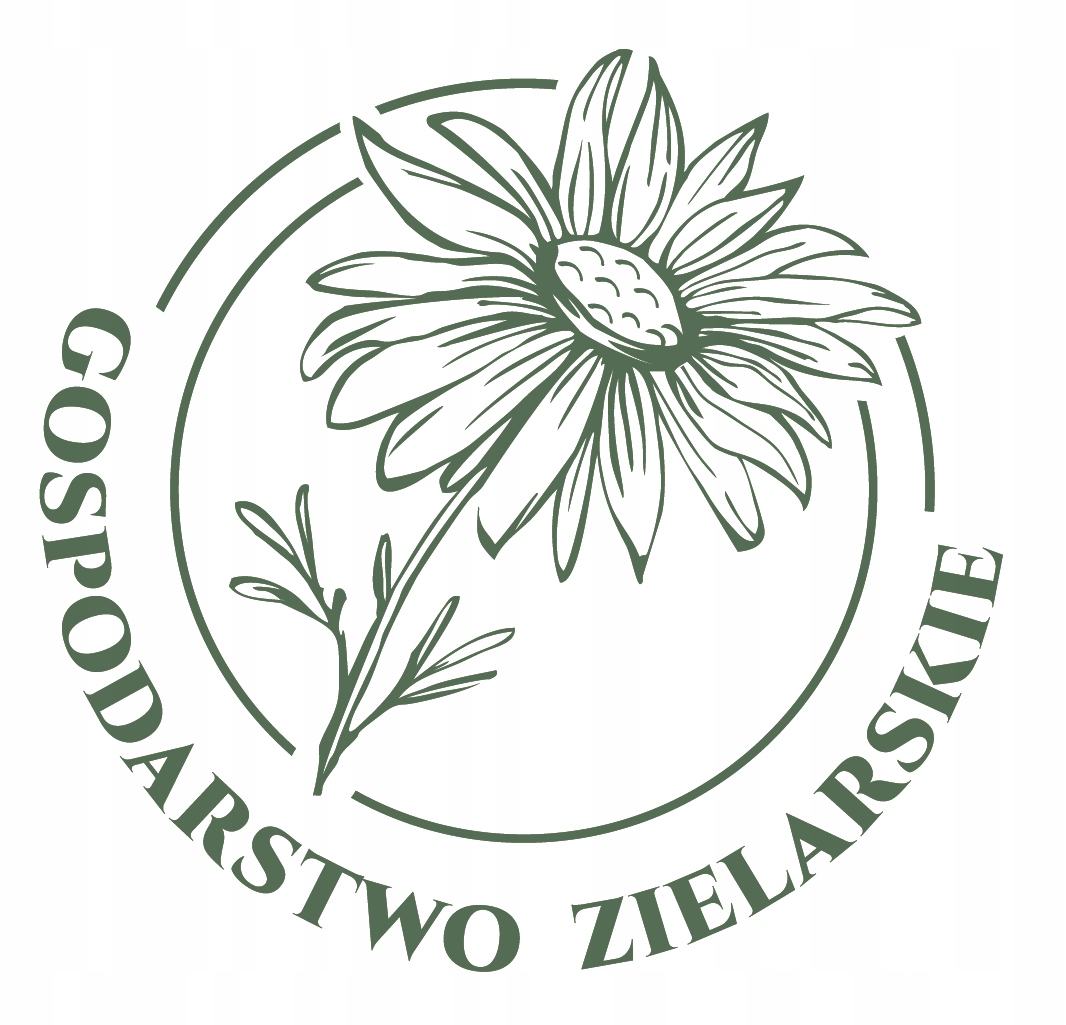 BABKA SZEROKOLISTNA 500g GOSPODARSTWO ZIELARSKIE LIŚĆ BABKI 0,5kg - obrazek 2