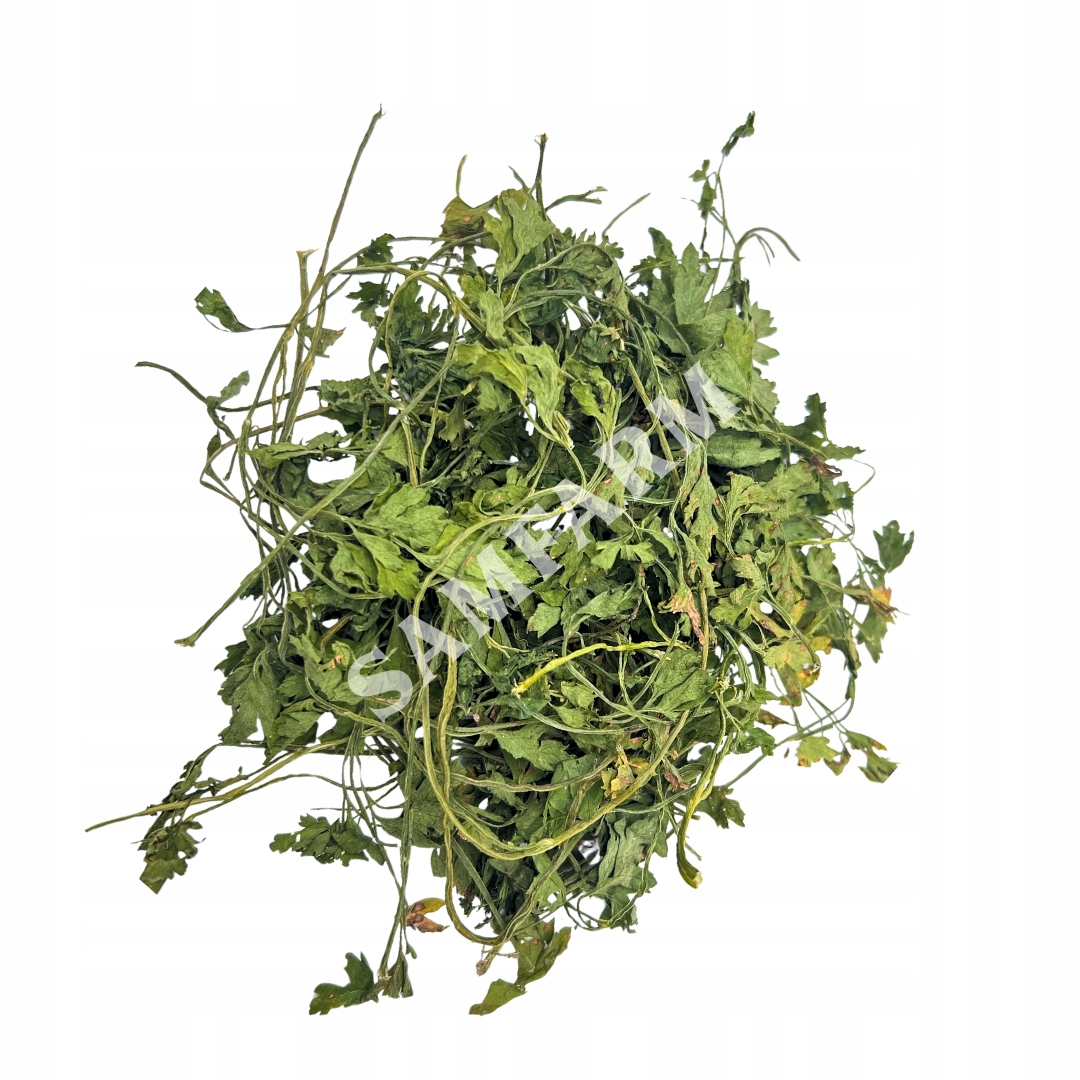 Strona Główna - 6b7842e9c835a074276772aa2c21641b