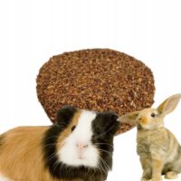 KRĄŻEK BRZOZOWY Z MARCHEWKĄ 1szt FACTORYHERBS