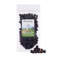 CZARNA PORZECZKA LIOFILIZOWANA 20g FACTORYHERBS