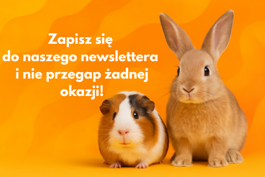 Strona Główna - Zapisz sie 1