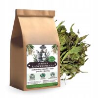 51af3de0dd1e7ef9e41ddf3a4455731d