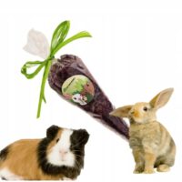 KOSTKI Z BURAKA 100g FACTORYHEBS BURAK