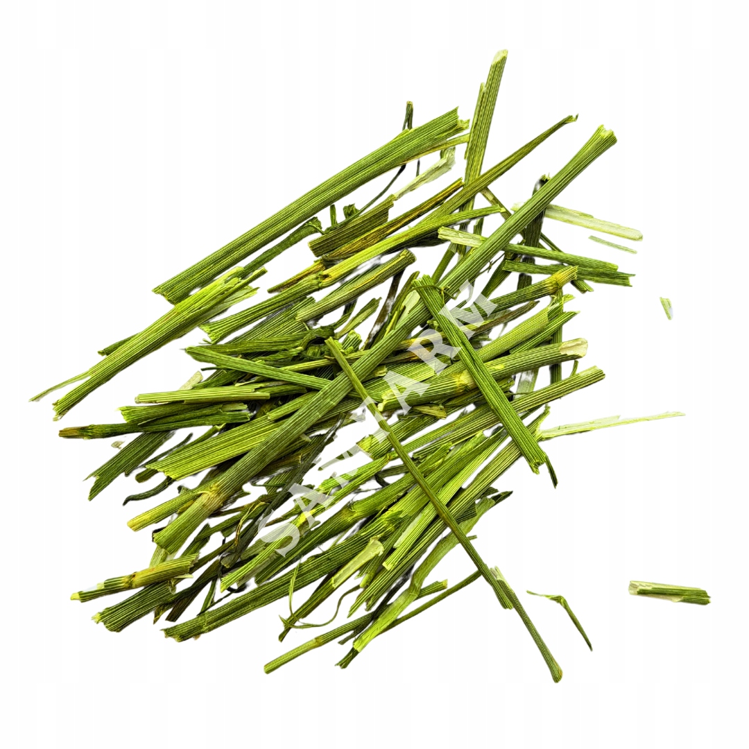 Strona Główna - e1b6aedb96d97298ee570290ce437dcc