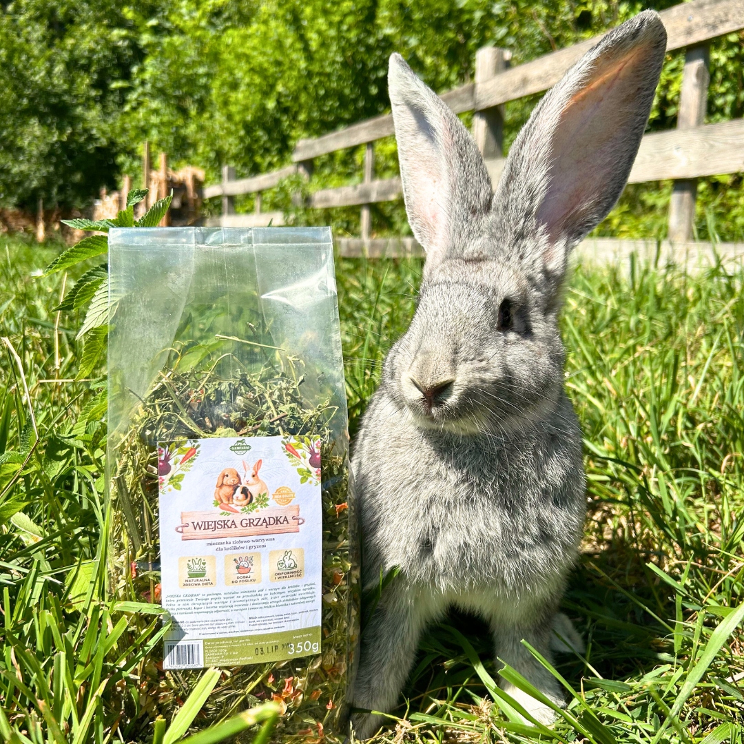SAMFARM WIEJSKA GRZĄDKA mieszanka ziół warzyw i owoców - obrazek 6