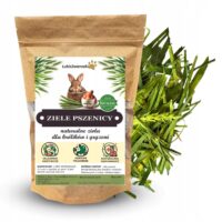 6a7adb089b1e496e941009d114205604