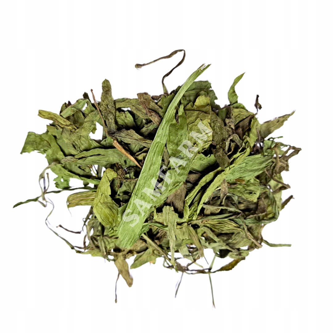 9407e69d34677af7783db92b5c35f25b